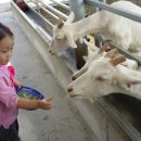 신동목장 이미지