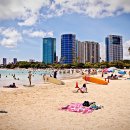 와이키키 이미지