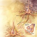 철학이란? - 들뢰즈의 &#34;철학에 관하여(1988)&#34; 이미지