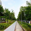 경춘선 폐선부지 이미지