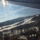 개금최치과의원 | 휘닉스파크 KBI컵 스키크로스 대회 초2 금메달 후기