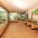 33전통음식 이미지