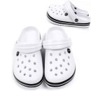 짐스아쿠아 이미지