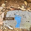 세종동_전월산 무궁화 테마공원 | [세종/전월산] 초보자도 가능한 짧은 세종등산 코스 추천