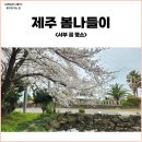 제주도 4월 여행 제주 서쪽 봄꽃 명소 한림읍, 신화월드 신화가든