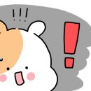 베드포드커피 네이버블로그
