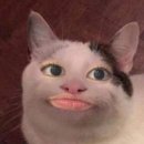 진블리