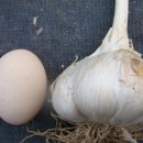 제일수퍼 이미지