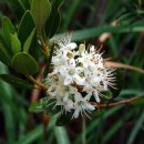 동강나루 이미지