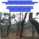 아산 송악. 천년의비손길. 봉곡사. 봉수산 오형제봉. 궁평저수지.공세리 성당. 2017. 3.1일. 이미지