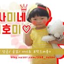 효성매점 이미지