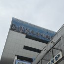 해물수산 | 노량진수산시장맛집 남도해물 포장후기