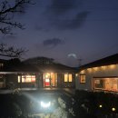 제주바다마루 민박 | 제주 서쪽 카페 | 카페 썬리 | 귀여운 강아지 마루가 있는 카페 (3일 연속 방문했어요!)