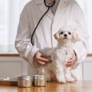 송도종합동물병원 이미지