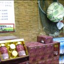 성읍민속마을 이미지