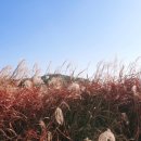 도래미마을 이미지