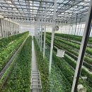 흰돌농장 이미지