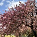 성산패총로-1 이미지