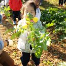 민경농장 이미지