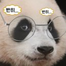 포토포토