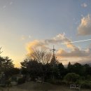 사우스포레스트