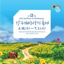 493 이미지