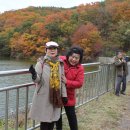 바울농장 이미지