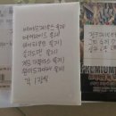 프리미엄 팩 13 낱장 구매후기-1