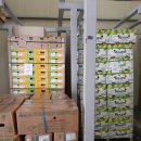 (주)골드레몬 이미지