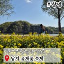 안동강변체육공원 축구장 | 4월 부산근교 가볼만한곳 경남 창녕 남지 유채꽃축제 꽃구경