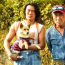 핸섬가이즈 이미지