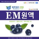 [공구] 블루베리클럽 전용 EM원액, 당밀 공동구매(연중) 이미지