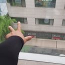 강남 누드죤빌딩 이미지