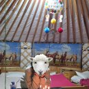 엠지소프트 | [8월 몽골여행] 5박6일 남고비 엠지에어투어 후기(내돈내산)