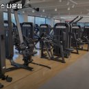 휴먼앤피트니스(나운점) 네이버블로그