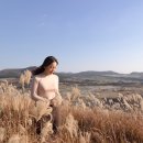 오조리bnb 이미지