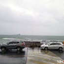 뷰스트