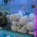 캐치팡(CATCH PANG) 이미지