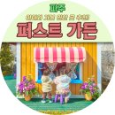 꼬마천국어린이집 | 파주 아이와 가볼만한곳 퍼스트가든 | 입장료·동물체험·포토존 솔직 후기 🌿