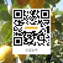 보금농장 이미지