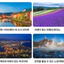 350025 | 홋카이도 여행에서 교통비 절약, JR패스가 답일까?