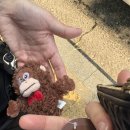 대빵오락실 압구정점 이미지