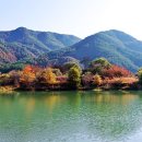 주천면체육공원 네이버블로그