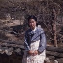 이듬해 Daum카페