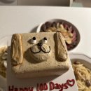 하이캐치 이미지