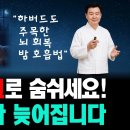 1.낮과 밤, 숨 쉬는 코가 다르다. 2.체력 단련 말고 턱을 단련 하세요 이미지
