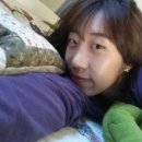 빛나개 이미지