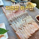 바다공원해녀수산 | 대구 칠곡 학정동 자연산 회 맛집 [자연산 회수산] 이시가리, 줄돔, 농어, 도다리, 붉발이