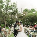 제주 플로라 | 플레이스플로라 웨딩 본식스냅 대전 야외결혼식 시화래 강산픽