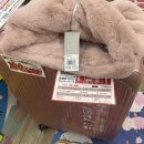 일본 도테라 컨벤션 2일차 & 본사 방문 후기